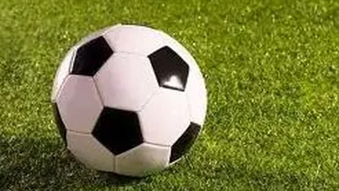 广东体彩网 资讯 095659 tro