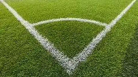 【独家揭秘】26011期大乐透神算七码复式投注攻略，高手倾囊相授，稳中求胜！