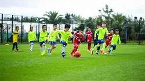 大乐透期号专家推荐质合分析前区十码